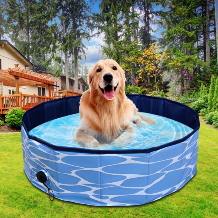Foldable Compact Puppy Play Pool Capacity Approximately 100 to 600 Liters Suitable for Puppies Small Dogs Easy to Set Up